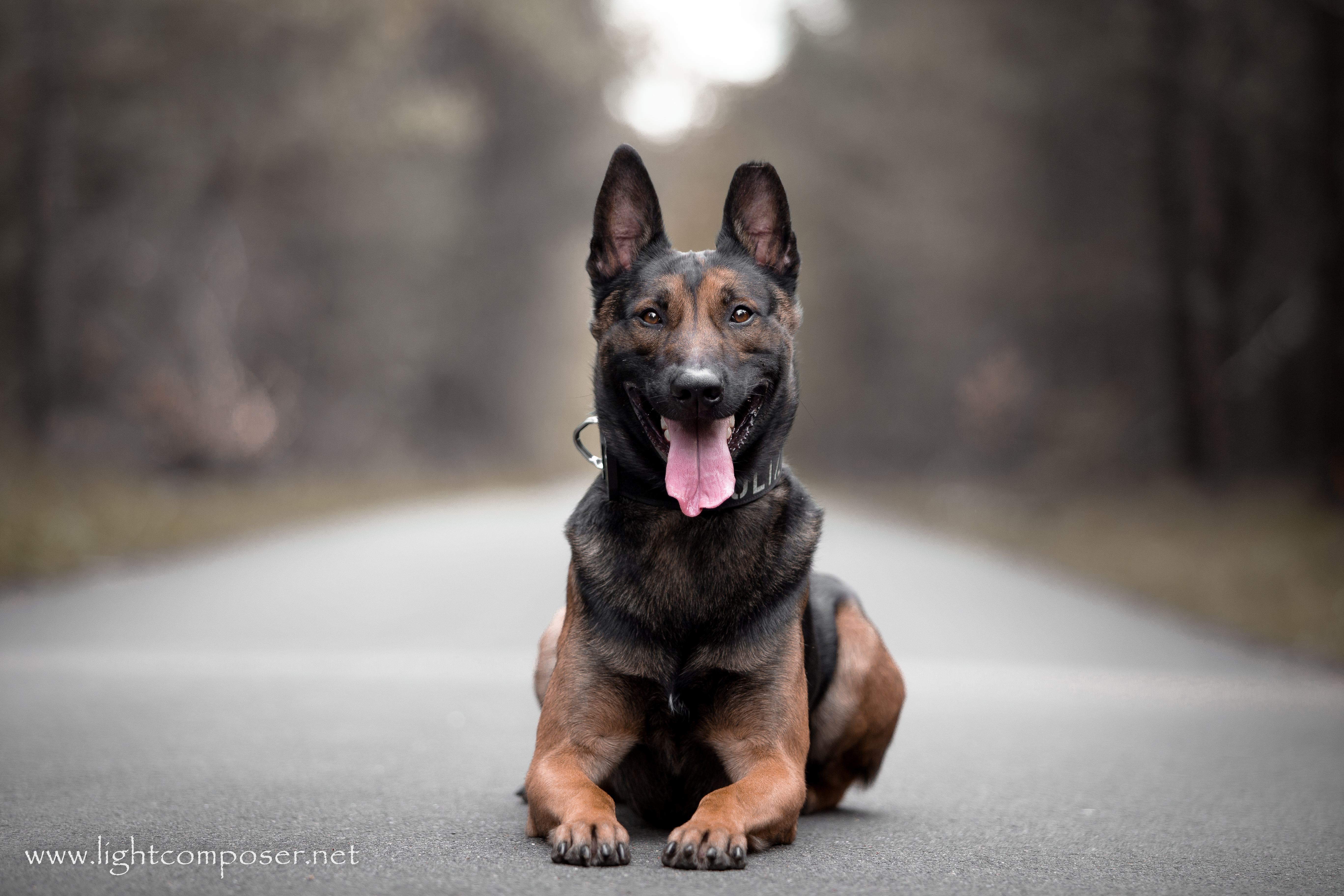 IMG_0147 - 2_mit WZ_mit SH