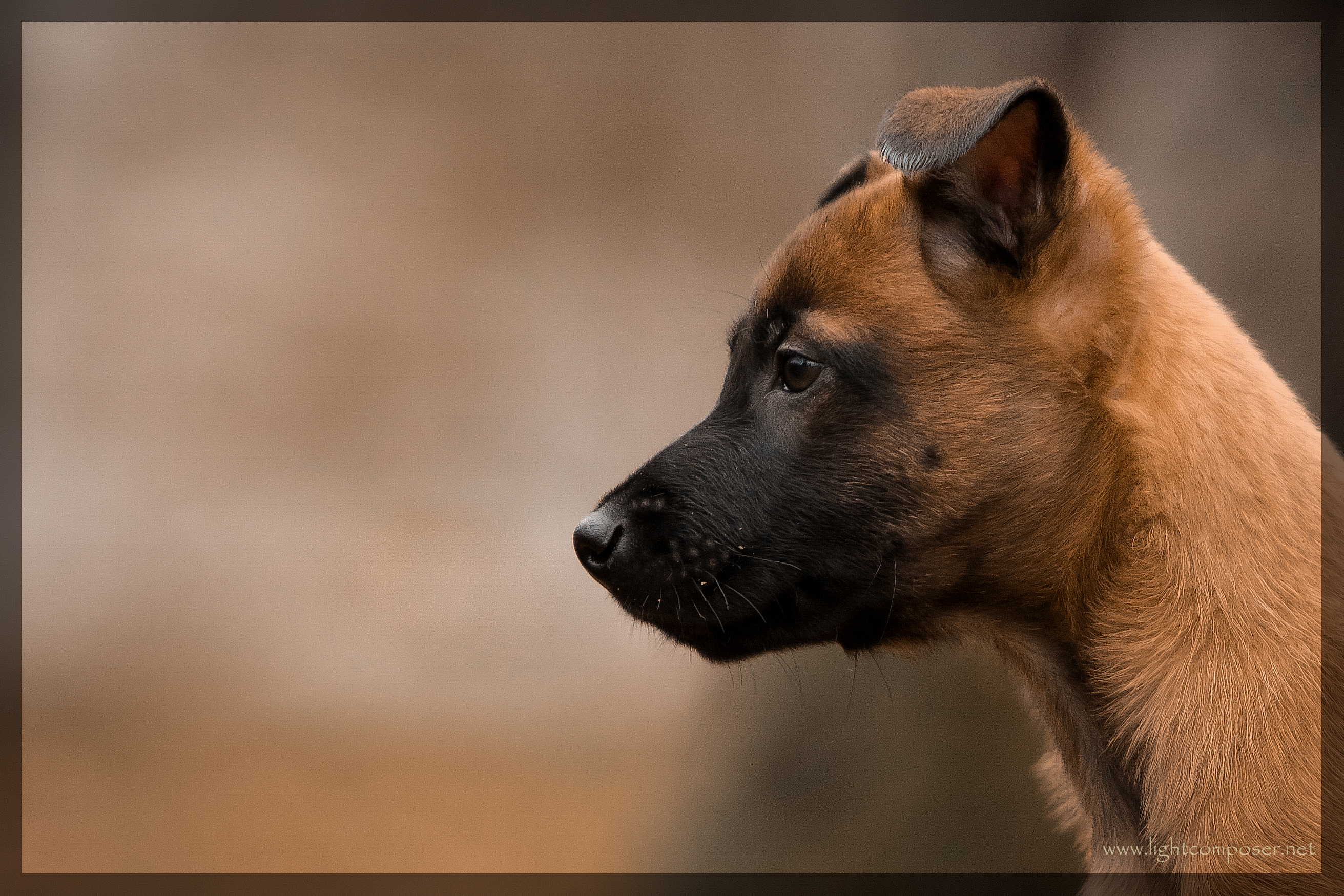 IMG_6580-3_transparent dunkler Rahmen